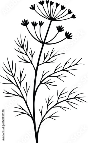 Minimalist black dill weed herb sprig silhouette vector icon