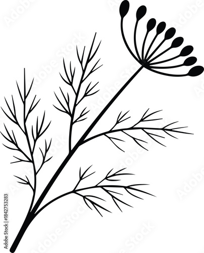 Minimalist black dill weed herb sprig silhouette vector icon