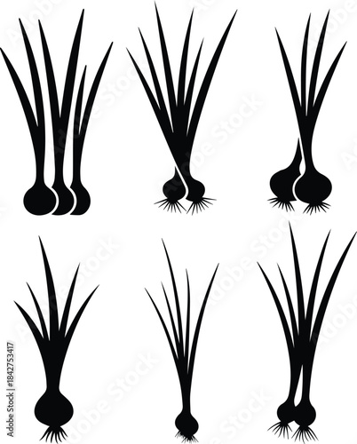 Set of Minimalist black scallion spring onion vegetable silhouette vector icon