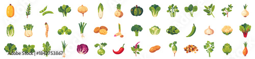 Large collection of colorful vegetable icons, isolated flat style vector illustration