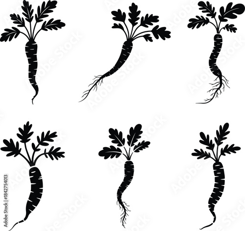 Set of Minimalist black horseradish root vegetable silhouette vector icon