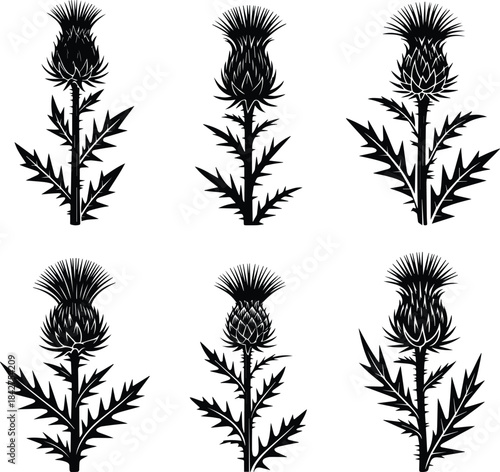 Set of Minimalist black cardoon vegetable thistle stalk silhouette vector icon