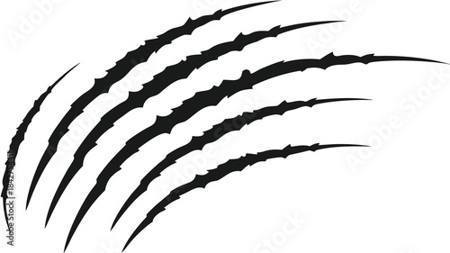 Vector illustration black claw marks on, sharp feline scratches in a curved line