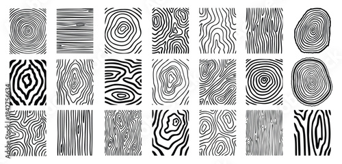 Wood lines texture material doodle hand drawn line set. Rings and circles tree trunk geometric curve, wave contour. 