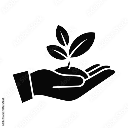 Hand holding a small plant with leaves