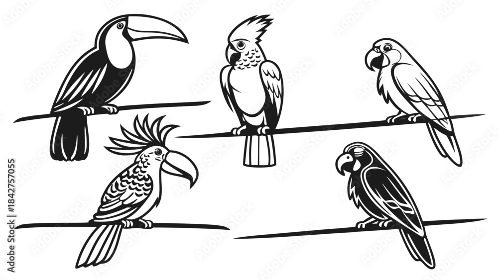 Fototapeta premium Vector illustration black and white illustration of various colorful parrot species perched on branches