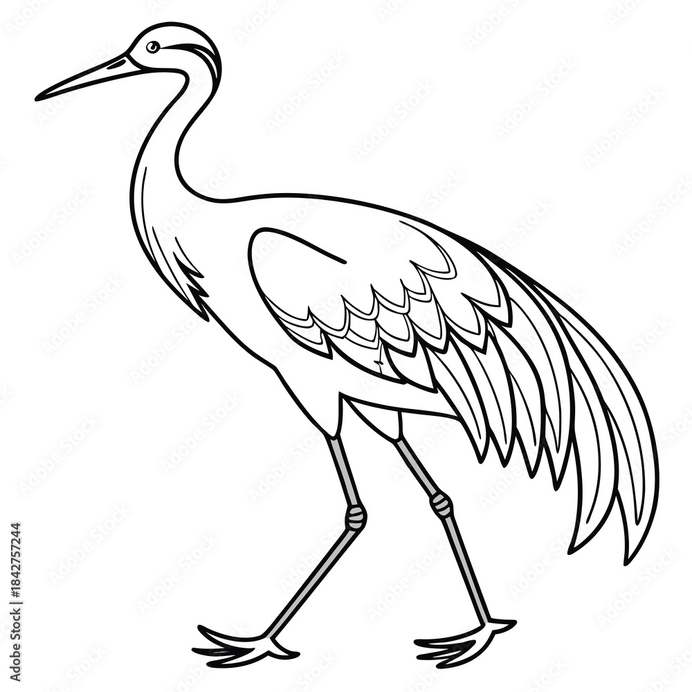 Fototapeta premium Vector illustration a black and white line drawing of a walking crane with detailed feathers and long neck and legs