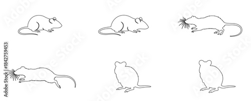 Rat Icons Set – Stroke Style Line Art Vector Symbols