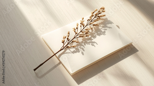 Elegant Message Concept