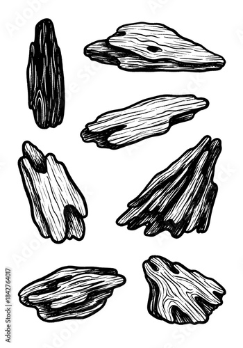 Collection of diverse hand-drawn weathered driftwood fragments in a black and white vintage engraving style, illustrating rough natural wood grain textures