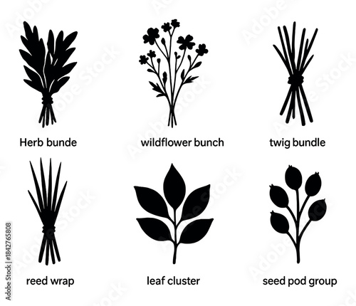 Silhouettes of herb, wildflower, twig, reed, leaf, and seed pod bundles on beige background