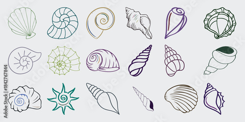 Collection of Stylized Seashell Illustrations in Various Shapes and Colors