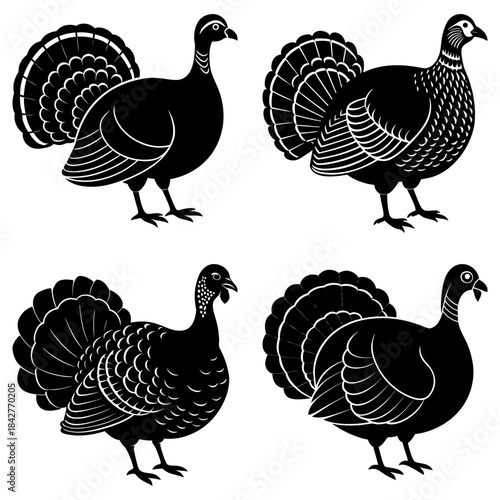 Four black and white turkey silhouettes with detailed feather patterns on transparent background bird 2