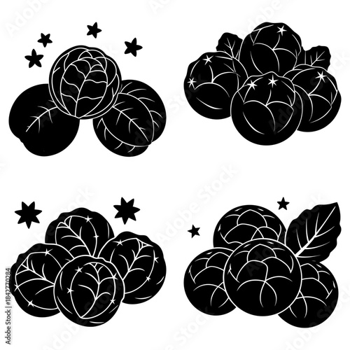 Black Cabbage Silhouettes with Stars on White Background vegetable leafy