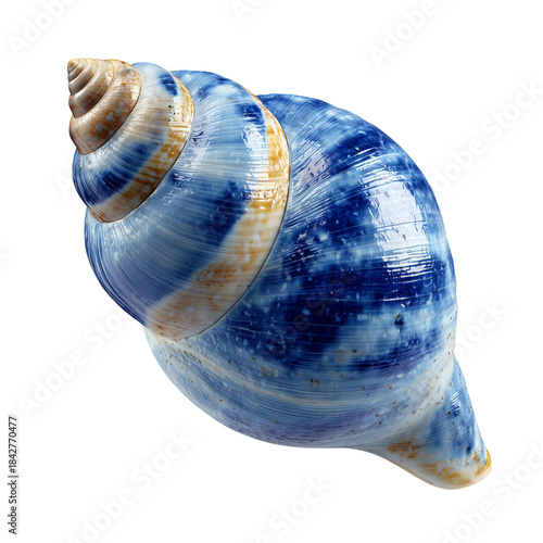 Shell With Blue and White Stripes Sits on a Smooth Surface in Natural Light D...
