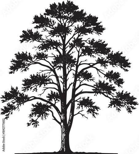 tree