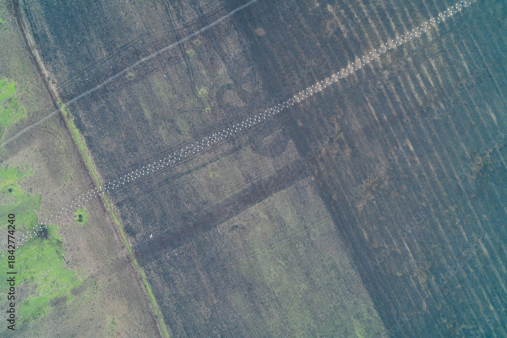 Obraz premium Rows of concrete dragon's teeth and barbed wire tangle obstacles in a field. Aerial view of a heavy military defense line and fortification concept