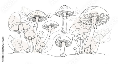 Whimsical forest floor illustration of various mushrooms in minimalist line art Vector