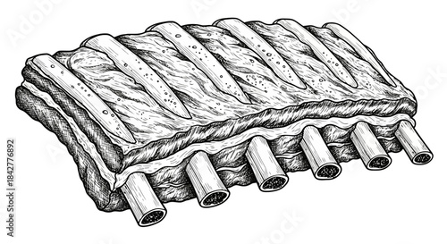 Classic hand-drawn illustration of raw beef or pork ribs, depicting a traditional butchery cut Vector