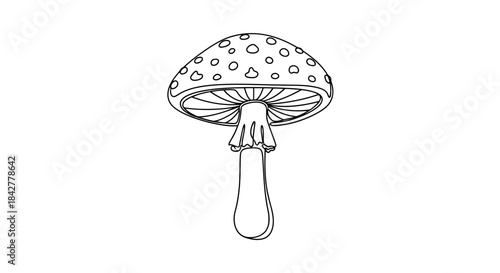 Simple black and white line art illustration of a spotted mushroom with gills and a stem Vector
