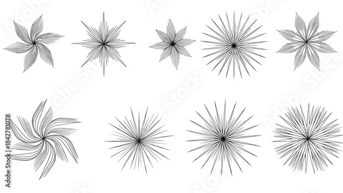 Geometric Palm Tree Plan View Icons for Urban Landscape CAD