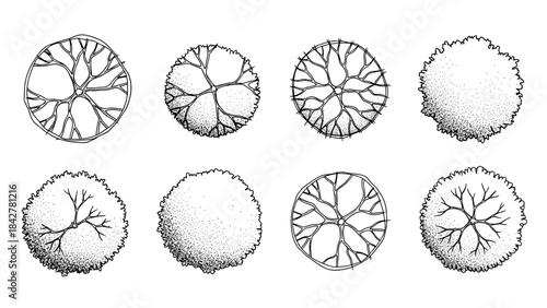 Hand-Drawn Vector Tree Top View Set for Artistic Landscape Sketches