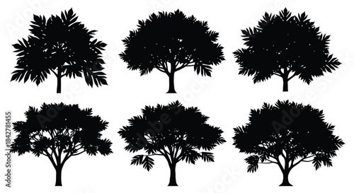 Silhouette tree vector graphics isolated on a clean white background for design use