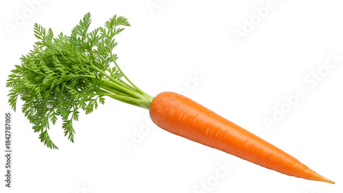 Fresh orange carrot isolated on transparent background