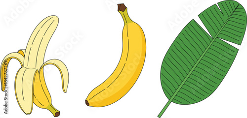 Banana fruit and banana leaf illustration set featuring peeled banana, whole banana, tropical plant elements for food and nature designs