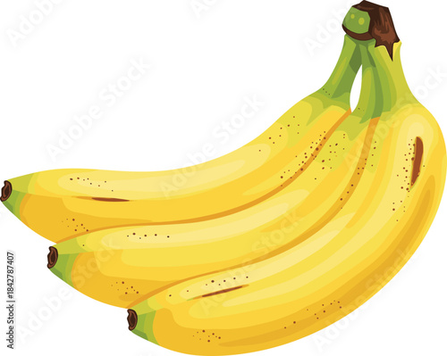Fresh ripe banana bunch illustration for tropical fruit designs, healthy food concepts, organic nutrition graphics, and market branding