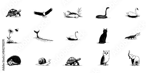 Animal And Nature Doodle Sketch Set. Wildlife Diversity And Natural Elements In Hand Drawn Style Collection. Includes Tortoise, Eagle, Swan, Cat, Owl, Elephant, And More. Isolated Vector Illustration