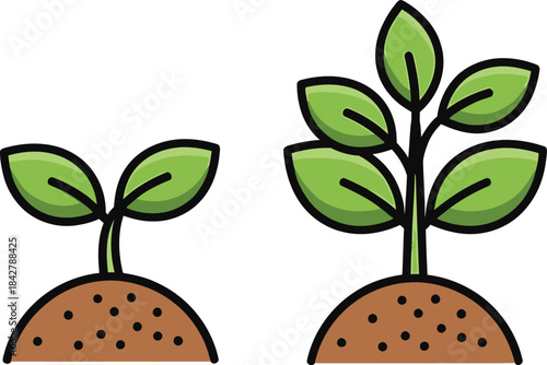 Plant growth vector, plant growth stages, plant growth from a green leaf to an adult tree, vector illustration