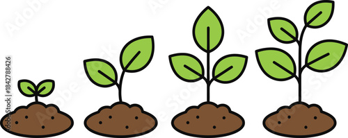 Plant growth vector, plant growth stages, plant growth from a green leaf to an adult tree, vector illustration