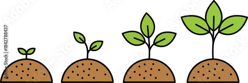 Plant growth vector, plant growth stages, plant growth from a green leaf to an adult tree, vector illustration
