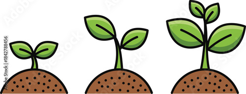 Plant growth vector, plant growth stages, plant growth from a green leaf to an adult tree, vector illustration