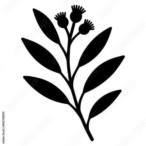 Black and white minimalist vector illustration of a leafy botanical eucalyptus branch with three small buds on top, simple silhouette, isolated on a white background.
