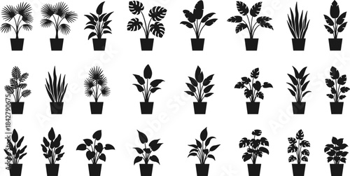 Potted plant silhouettes, botanical icons, indoor foliage, leaf shapes, black vector plants, decorative greenery, nature design, houseplants, minimal style