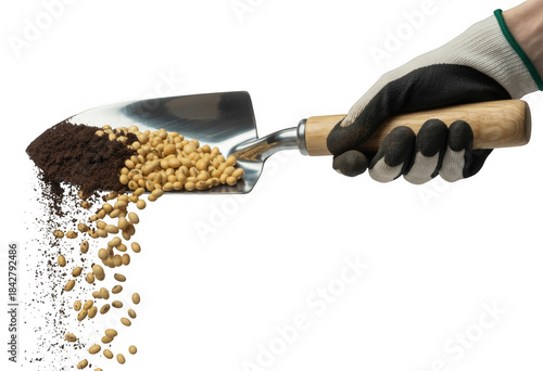 Hand holding shovel with seeds and soil isolated on a transparent background gardening