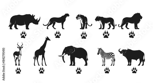 African safari animal silhouettes with paw prints illustration