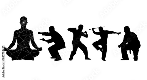Silhouettes of martial arts and meditation poses in dynamic sequence