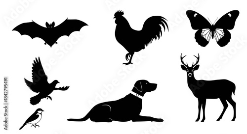 Collection of diverse animal silhouettes on a white background