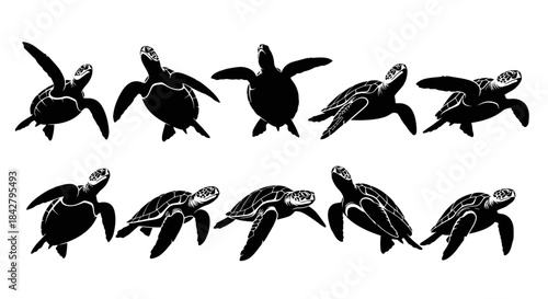 Collection of silhouetted sea turtles in various poses and movements