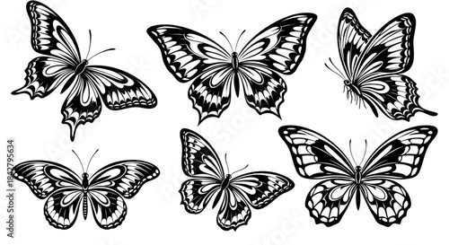 Collection of six detailed black and white butterfly illustrations in various poses