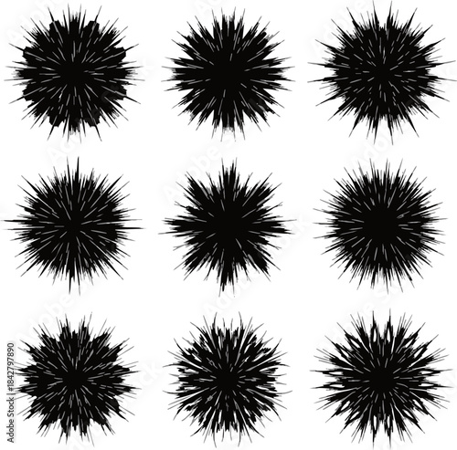 Sea Urchin and Spiky Ball Silhouette Texture Set