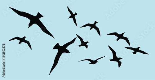 Silhouettes of a flock of birds soaring in the sky