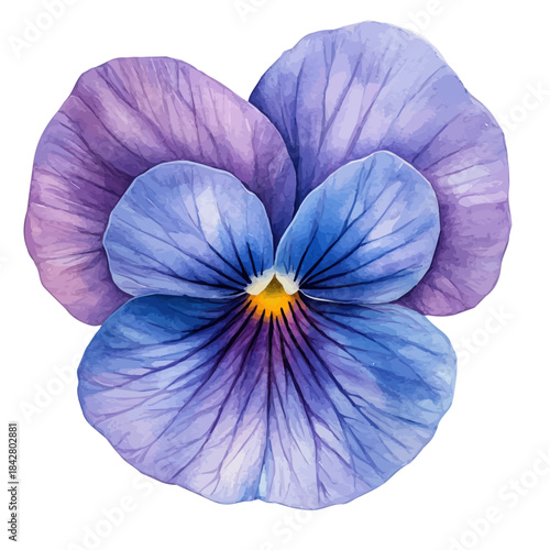 Viola Flower, serene watercolor vector artwork with smooth washes of color and refined textures, isolated on a white background.