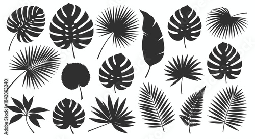 Collection of silhouetted tropical palm leaves in various shapes and sizes