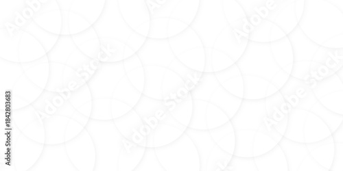Abstract white gradient circle pattern of 3d bubbles background template. abstract white modern transparency circle presentation background. bubbles, illustration, design, in illustration design.
