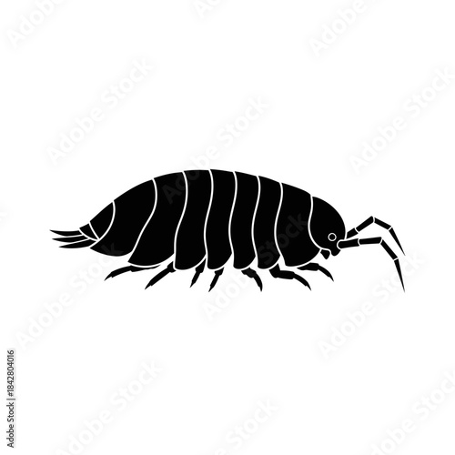 Beetle Silhouette Icon – Insect Bug Minimal Black Vector Illustration