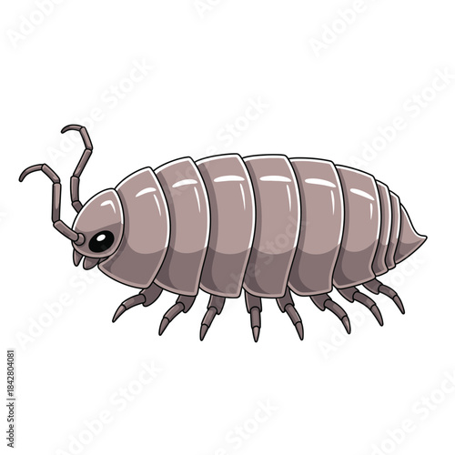 Pill Bug Illustration – Isopod Woodlouse Roly Poly Vector Icon